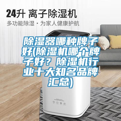 除濕器哪種牌子好(除濕機(jī)哪個(gè)牌子好？除濕機(jī)行業(yè)十大知名品牌匯總)