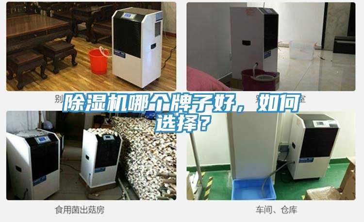 除濕機(jī)哪個(gè)牌子好，如何選擇？
