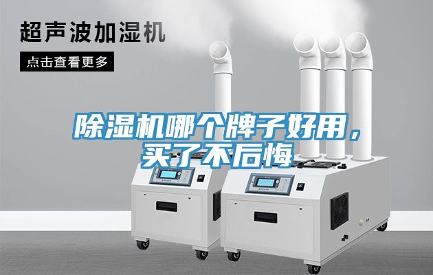 除濕機(jī)哪個(gè)牌子好用，買了不后悔