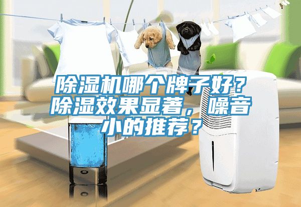 除濕機哪個牌子好？除濕效果顯著，噪音小的推薦？
