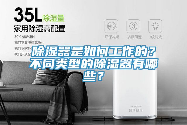 除濕器是如何工作的？不同類型的除濕器有哪些？