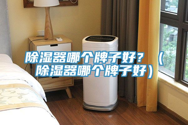 除濕器哪個(gè)牌子好？（除濕器哪個(gè)牌子好）