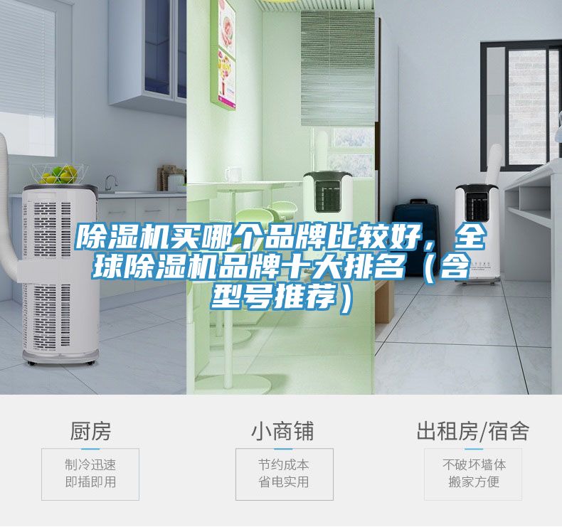 除濕機買哪個品牌比較好，全球除濕機品牌十大排名（含型號推薦）