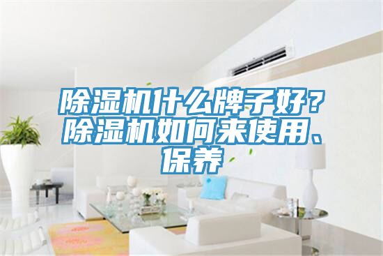 除濕機(jī)什么牌子好？除濕機(jī)如何來(lái)使用、保養(yǎng)