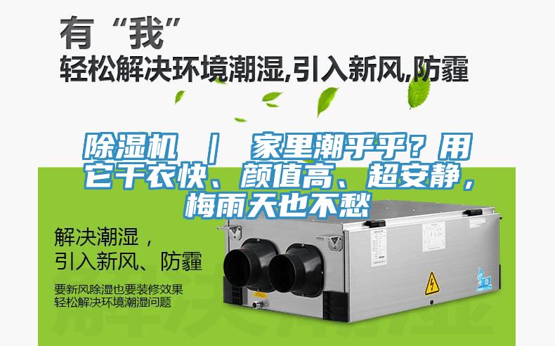 除濕機(jī) ｜ 家里潮乎乎？用它干衣快、顏值高、超安靜，梅雨天也不愁