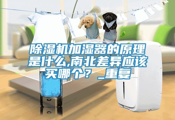 除濕機加濕器的原理是什么,南北差異應該買哪個？_重復