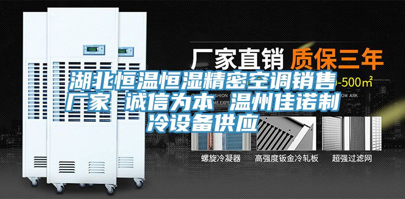 湖北恒溫恒濕精密空調(diào)銷(xiāo)售廠家 誠(chéng)信為本 溫州佳諾制冷設(shè)備供應(yīng)