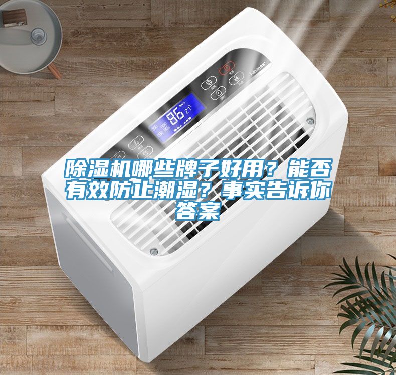 除濕機哪些牌子好用？能否有效防止潮濕？事實告訴你答案