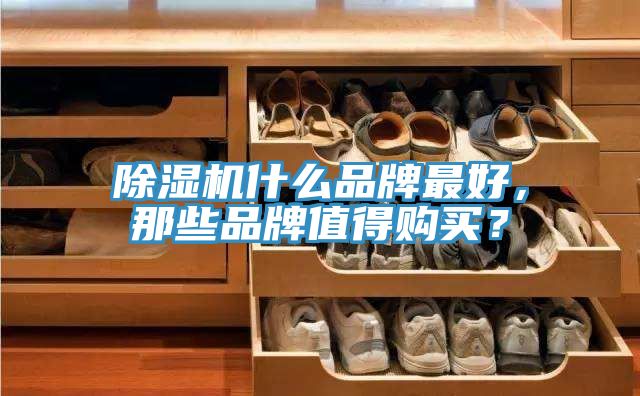 除濕機(jī)什么品牌最好，那些品牌值得購買？