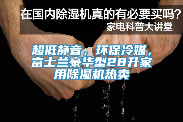 超低靜音，環(huán)保冷媒，富士蘭豪華型28升家用除濕機熱賣