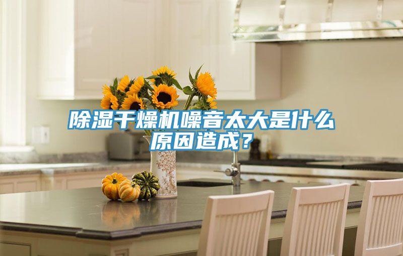 除濕干燥機噪音太大是什么原因造成？