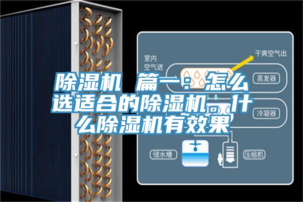除濕機(jī) 篇一：怎么選適合的除濕機(jī)。什么除濕機(jī)有效果