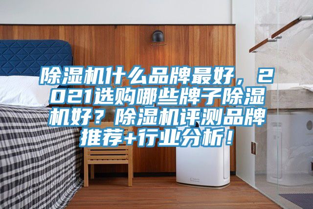 除濕機(jī)什么品牌最好，2021選購哪些牌子除濕機(jī)好？除濕機(jī)評測品牌推薦+行業(yè)分析！
