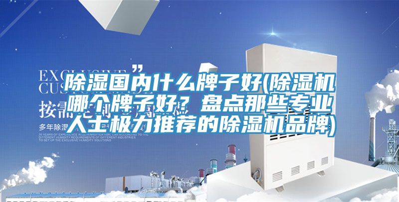 除濕國內(nèi)什么牌子好(除濕機(jī)哪個(gè)牌子好？盤點(diǎn)那些專業(yè)人士極力推薦的除濕機(jī)品牌)