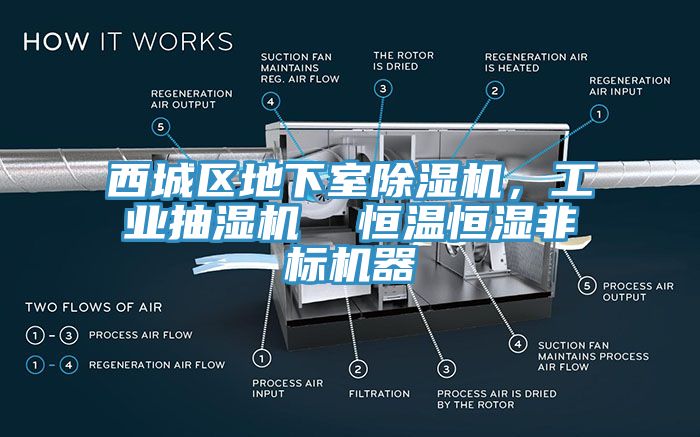西城區(qū)地下室除濕機(jī)，工業(yè)抽濕機(jī)  恒溫恒濕非標(biāo)機(jī)器