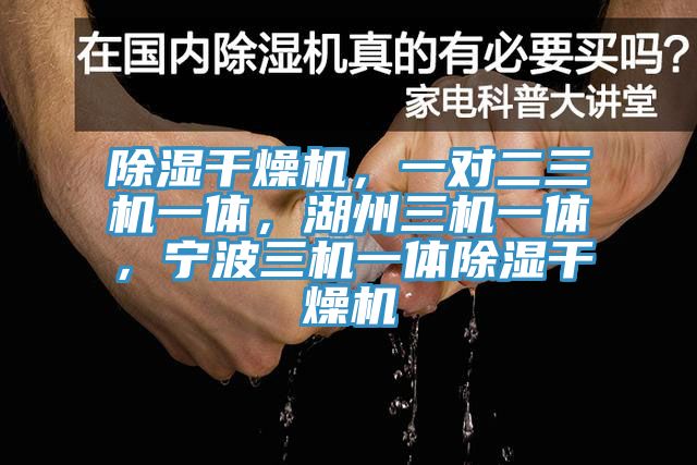 除濕干燥機(jī)，一對(duì)二三機(jī)一體，湖州三機(jī)一體，寧波三機(jī)一體除濕干燥機(jī)