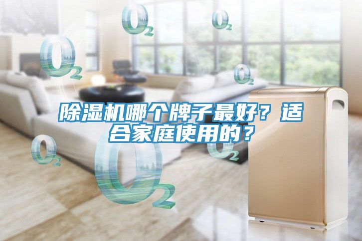 除濕機哪個牌子最好？適合家庭使用的？