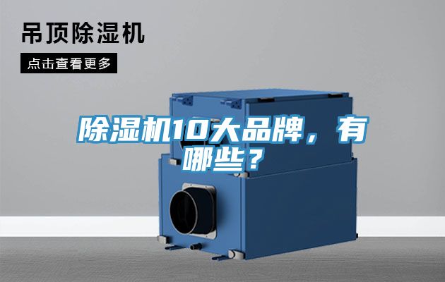 除濕機10大品牌，有哪些？