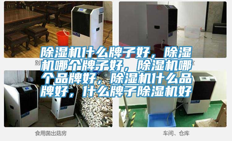 除濕機(jī)什么牌子好，除濕機(jī)哪個牌子好，除濕機(jī)哪個品牌好，除濕機(jī)什么品牌好，什么牌子除濕機(jī)好