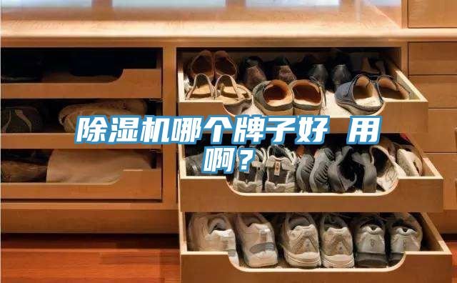 除濕機(jī)哪個(gè)牌子好 用??？