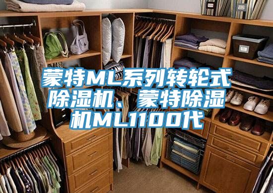 蒙特ML系列轉(zhuǎn)輪式除濕機(jī)、蒙特除濕機(jī)ML1100代