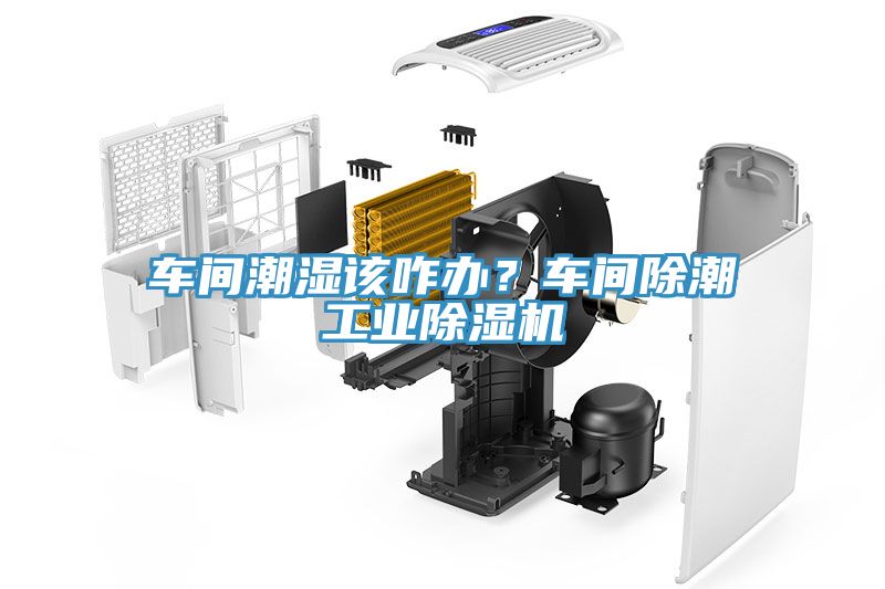 車間潮濕該咋辦？車間除潮工業(yè)除濕機