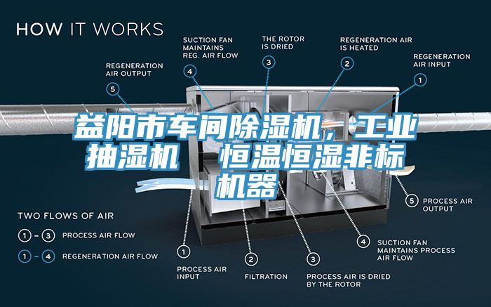 益陽市車間除濕機，工業(yè)抽濕機  恒溫恒濕非標機器