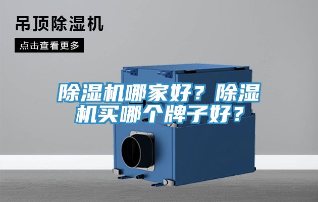 除濕機(jī)哪家好？除濕機(jī)買哪個(gè)牌子好？