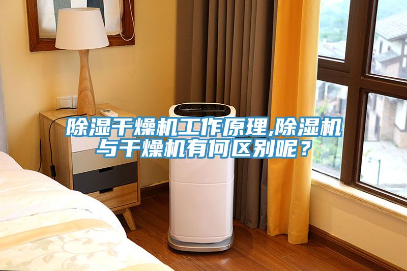 除濕干燥機工作原理,除濕機與干燥機有何區(qū)別呢？