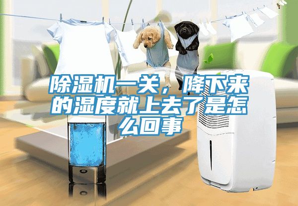 除濕機(jī)一關(guān)，降下來的濕度就上去了是怎么回事