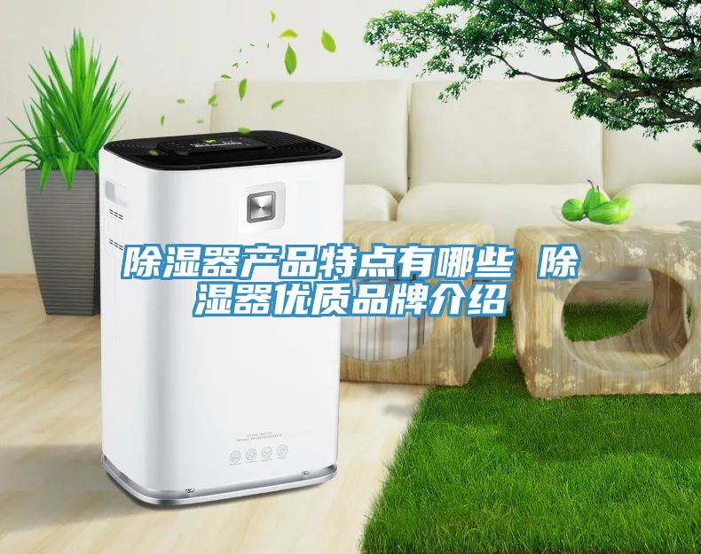 除濕器產品特點有哪些 除濕器優(yōu)質品牌介紹