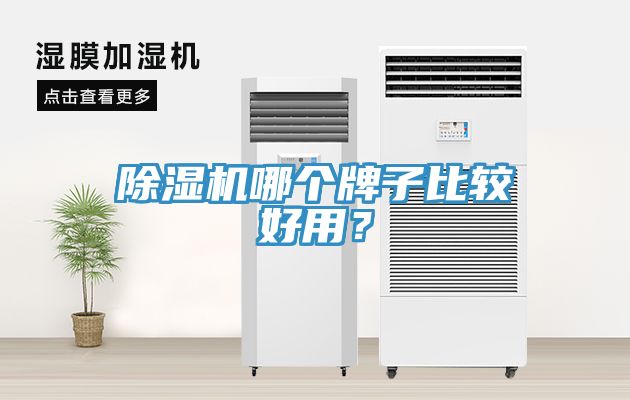 除濕機哪個牌子比較好用？