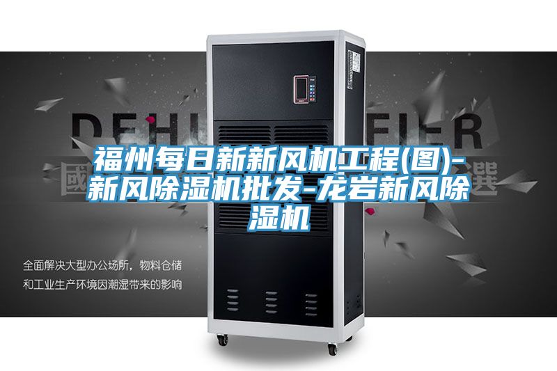 福州每日新新風(fēng)機工程(圖)-新風(fēng)除濕機批發(fā)-龍巖新風(fēng)除濕機