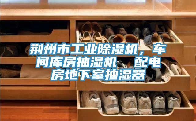 荊州市工業(yè)除濕機(jī)，車(chē)間庫(kù)房抽濕機(jī)  配電房地下室抽濕器