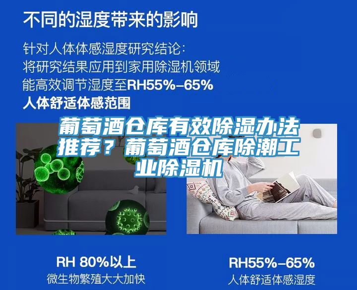 葡萄酒倉庫有效除濕辦法推薦？葡萄酒倉庫除潮工業(yè)除濕機(jī)