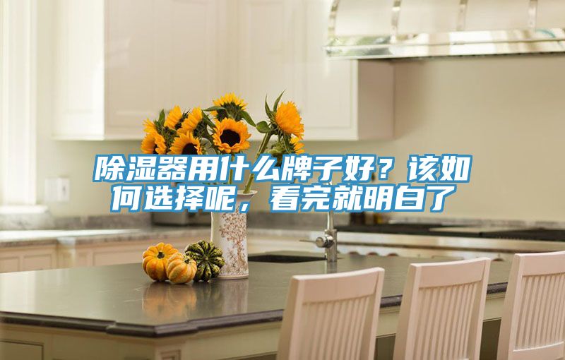 除濕器用什么牌子好？該如何選擇呢，看完就明白了