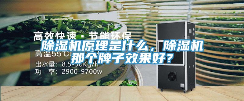 除濕機(jī)原理是什么，除濕機(jī)那個(gè)牌子效果好？