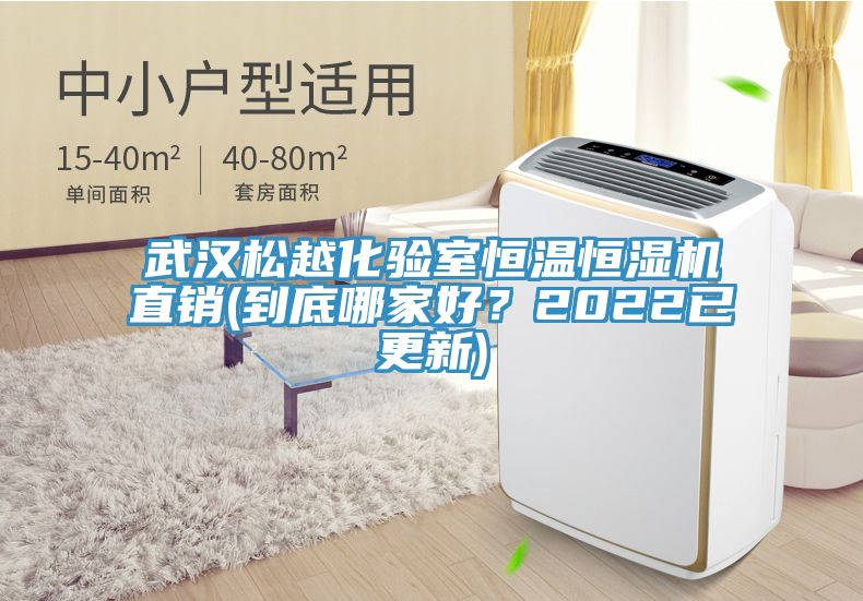 武漢松越化驗室恒溫恒濕機直銷(到底哪家好？2022已更新)