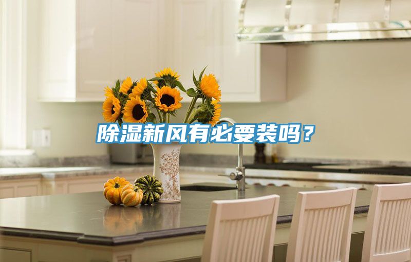 除濕新風(fēng)有必要裝嗎？