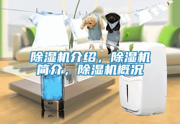 除濕機(jī)介紹，除濕機(jī)簡介，除濕機(jī)概況