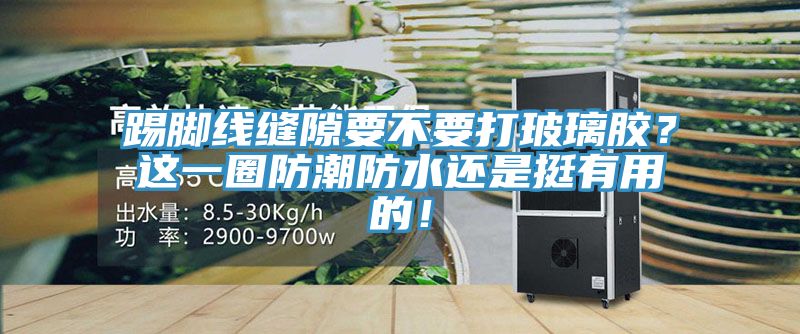 踢腳線縫隙要不要打玻璃膠？這一圈防潮防水還是挺有用的！
