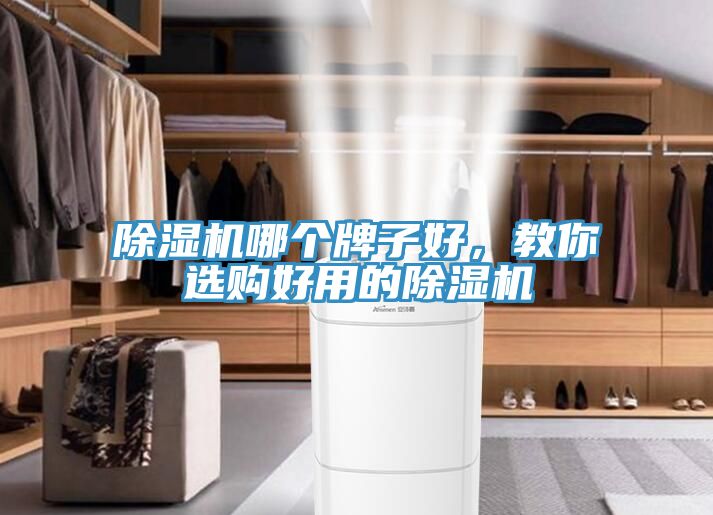 除濕機(jī)哪個(gè)牌子好，教你選購好用的除濕機(jī)