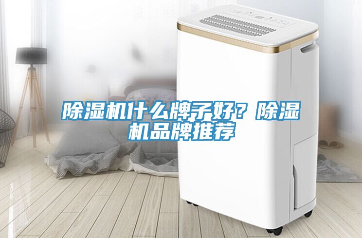 除濕機什么牌子好？除濕機品牌推薦