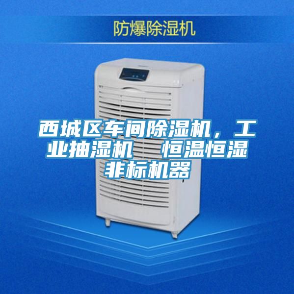 西城區(qū)車間除濕機(jī)，工業(yè)抽濕機(jī)  恒溫恒濕非標(biāo)機(jī)器