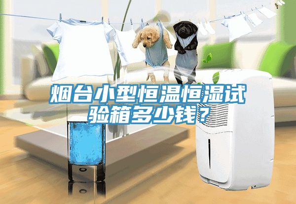 煙臺小型恒溫恒濕試驗箱多少錢？