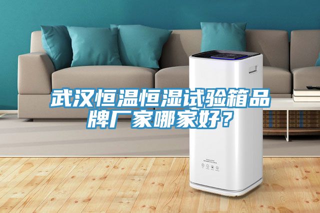 武漢恒溫恒濕試驗箱品牌廠家哪家好？