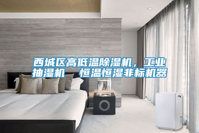 西城區(qū)高低溫除濕機(jī)，工業(yè)抽濕機(jī)  恒溫恒濕非標(biāo)機(jī)器