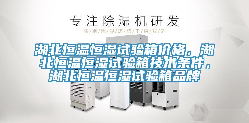 湖北恒溫恒濕試驗(yàn)箱價(jià)格，湖北恒溫恒濕試驗(yàn)箱技術(shù)條件，湖北恒溫恒濕試驗(yàn)箱品牌