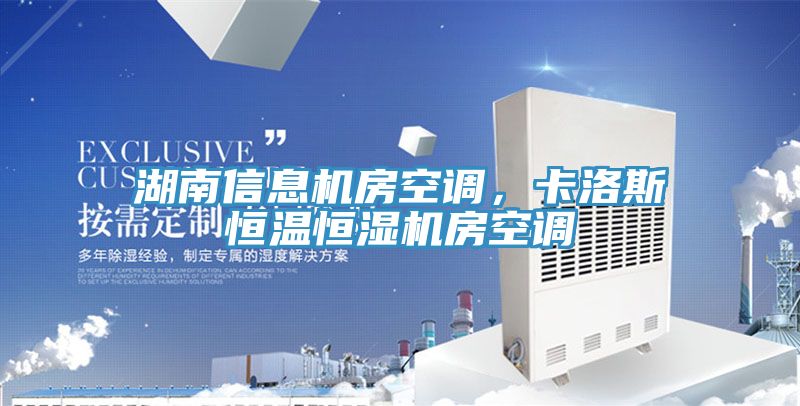 湖南信息機房空調(diào)，卡洛斯恒溫恒濕機房空調(diào)