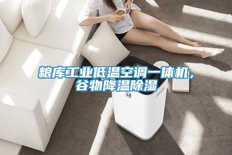 糧庫工業(yè)低溫空調(diào)一體機，谷物降溫除濕